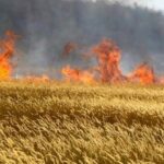 На Миколаївщині горіла пшениця через російські обстріли