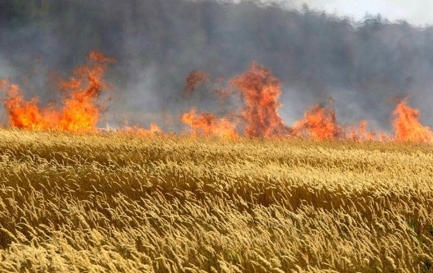 На Миколаївщині горіла пшениця через російські обстріли