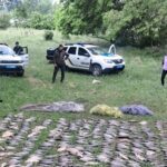 Операція Нерест: у браконьєрів вилучили 10 тонн риби