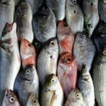 РФ заборонила ввезення риби та рибопродуктів з Вірменії