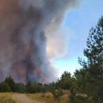 У Чорнобильській зоні знову вирують пожежі