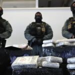 У Німеччині вилучили рекордні вісім тонн кокаїну