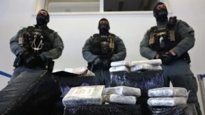 У Німеччині вилучили рекордні вісім тонн кокаїну