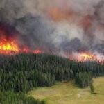 У Сибіру горить майже 150 тисяч га лісу