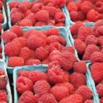 Україна торік на 53,9% збільшила експорт заморожених ягід – дослідження