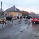 Українців переселятимуть у села: як діятиме нова програма