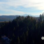 Викрито заволодіння землями лісового фонду біля Буковеля на понад 50 млн