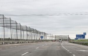 Жителів ТОТ Херсонщини закликають виїжджати – ЗМІ