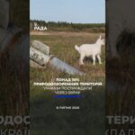 🗓️ 08.07.2026☀️ Ранкові новини🔴 1596-ий день війни