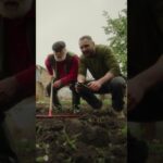Твій город та поле змінилися!