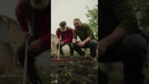 Твій город та поле змінилися!