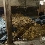 Від поля до «чорного» ринку: судитимуть групу осіб за постачання тютюну до підпільних цехів