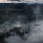 На Прикарпатті другий день не можуть загасити лісову пожежу