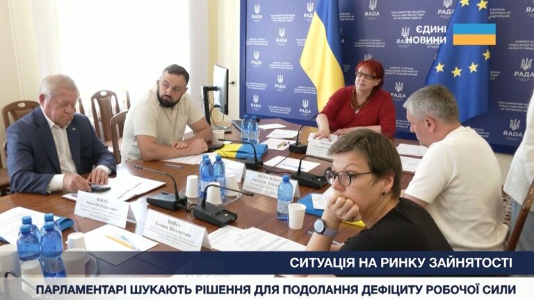 Ситуація на ринку зайнятості: парламентарі шукають рішення для подолання дефіциту робочої сили