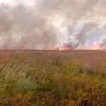Окупанти спалили майже 2000 гектарів заповідника Асканія-Нова