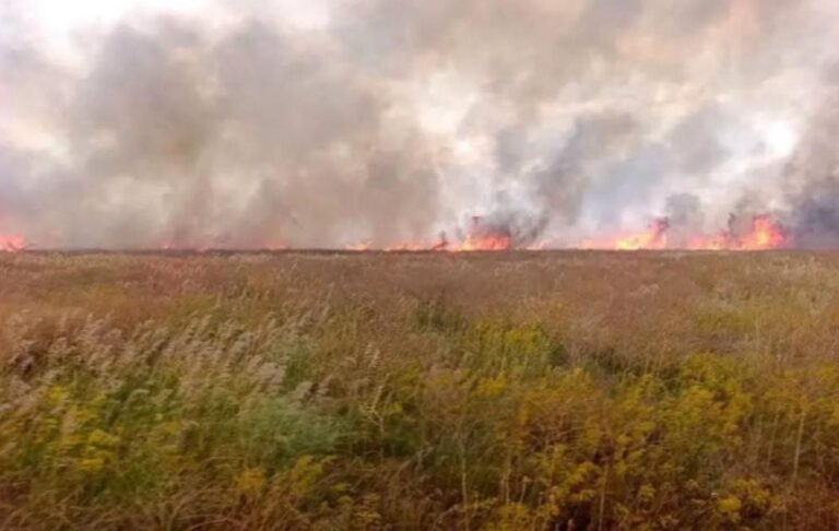 Окупанти спалили майже 2000 гектарів заповідника Асканія-Нова