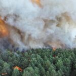 Під Парижем горить ліс: евакуювали тисячу людей