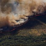 Пожежі в Іспанії: в країні ввели надзвичайний режим