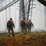 Пожежу в зоні відчуження взяли під контроль