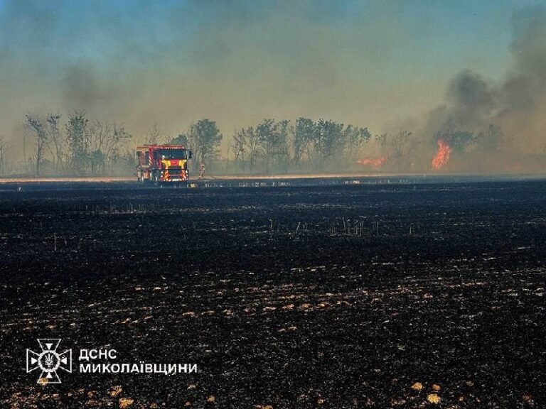Росііяни вдарили по полях на Миколаївщині