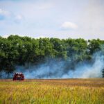 Рятувальники ліквідували пожежу у Чорнобильській зоні