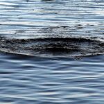 Троє дітей впали у воду на Харківщині: одна дитина загинула
