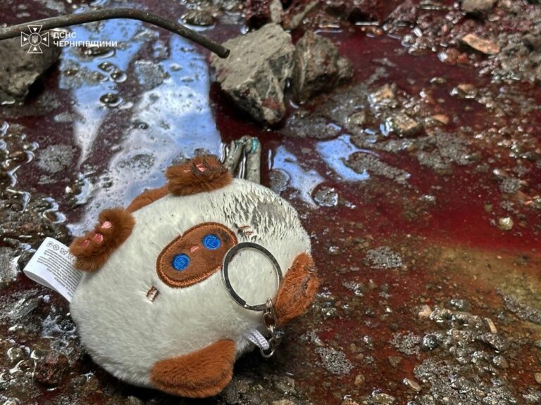 У Чернігові 27 липня оголосили Днем жалоби