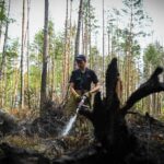 У Чорнобильській зоні загасили масштабну пожежу