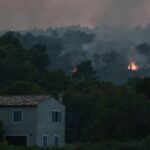 У Франції пожежі знищили 115 тисяч гектарів лісу
