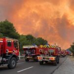У Франції вогонь знищив близько 930 гектарів лісу