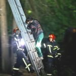 У Львові рятувальники зняли з дерева жінку та її кота