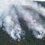 У Німеччині горить ліс на полігоні: детонують боєприпаси