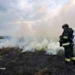 У Слов’янську пожежа сухостою наблизилася до осель