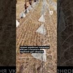 Інженерні війська будують надійний щит оборони