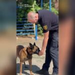 Кінологічний розрахунок ДСНС Запоріжжя відпрацював чергове тренування