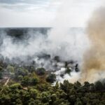 Лісова пожежа в Нідерландах охопила вже 100 гектарів