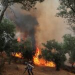 Лісові пожежі в Європі вийшли з-під контролю: рятувальники б&rsquo;ються з вогнем
