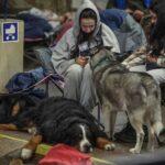 Майже 9 годин тривоги: скільки людей було в метро Києва