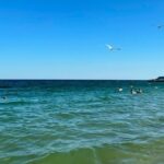 На пляжі в окупованому Криму винесло згустки пальмової олії
