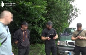 Незаконна вирубка лісу в Медоборах: пні маскували ґрунтом і гіллям