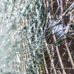 Польський автобус потрапив у смертельну ДТП в Угорщині