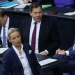 Рейтинг Мерца впав до нового мінімуму