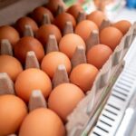У Бельгії стався рекордний спалах сальмонельозу