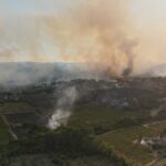 У Франції через лісові пожежі евакуювали 1200 людей
