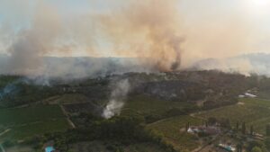 У Франції через лісові пожежі евакуювали 1200 людей