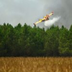 У Франції підозрюють сотні осіб у підпалах лісів