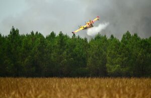 У Франції підозрюють сотні осіб у підпалах лісів