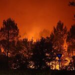У Франції заарештували понад 400 людей за підозрою у підпалах лісів