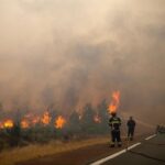 У Франції заявили, що взяли під контроль лісові пожежі