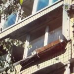 У Києві жінка викинула собаку з четвертого поверху